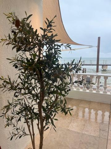Sant Carlos de la Ràpita Hotel Restaurant Juanito Platja מראה חיצוני תמונה